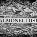 Torn pieces of paper with the words Salmonellosis