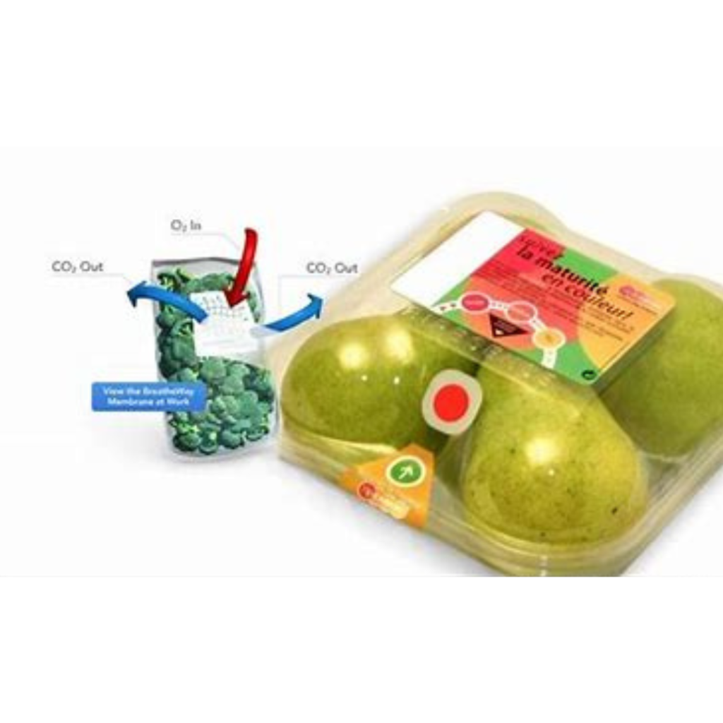 Smart Packaging for Food Products | An Impetus to Food Safety